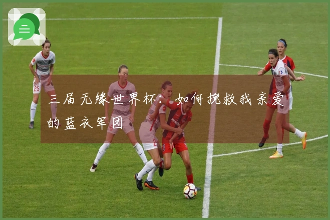 三届无缘世界杯：如何挽救我亲爱的蓝衣军团